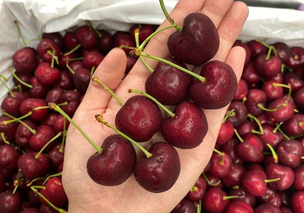mang cherry về Việt Nam