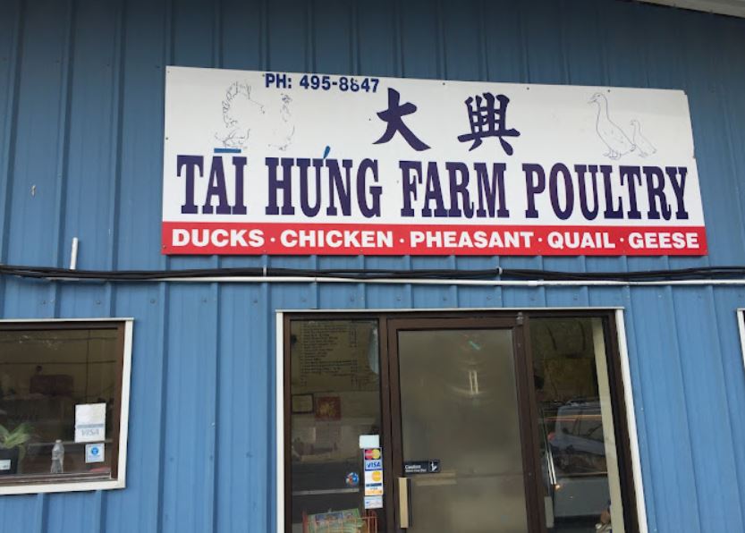 Nông trại gà ở Houston