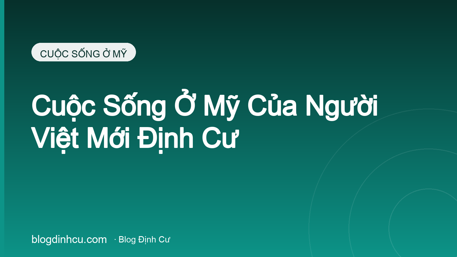 Cuộc Sống Ở Mỹ Của Người Việt Mới Định Cư