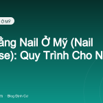 Thi Bằng Nail Ở Mỹ (Nail License): Quy Trình Cho Người Mới